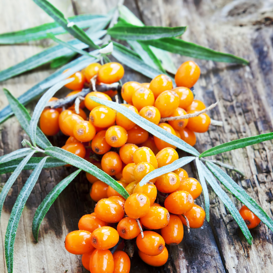 Calming Mask with Seabuckthorn 50g image 3